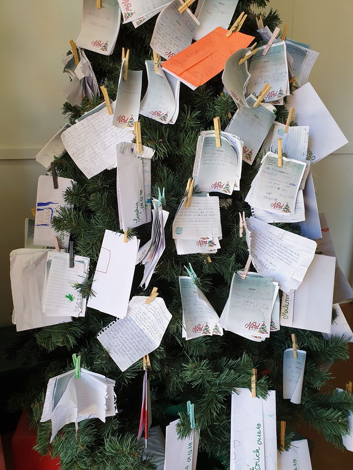 Comunidade pode adotar cartinhas na árvore dos desejos – Olá Jornal