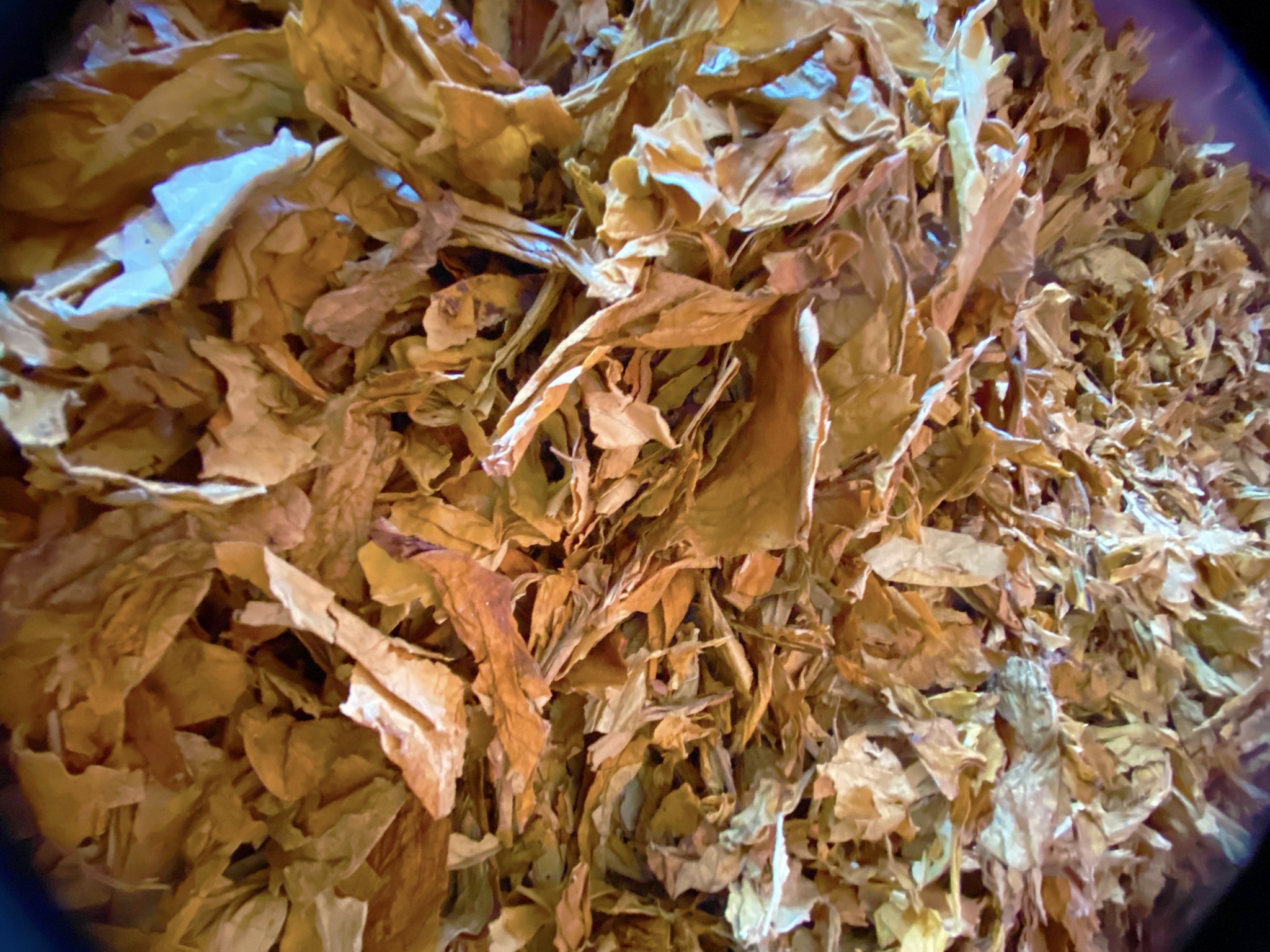 Preço pago por quilo de tabaco em folhas no mercado internacional acumula alta de 12,7% até março